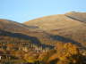 Tušnica