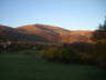Tušnica